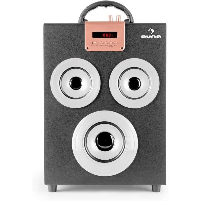 Central Park Enceinte Portable 2.1 avec Bluetooth avec Ports USB