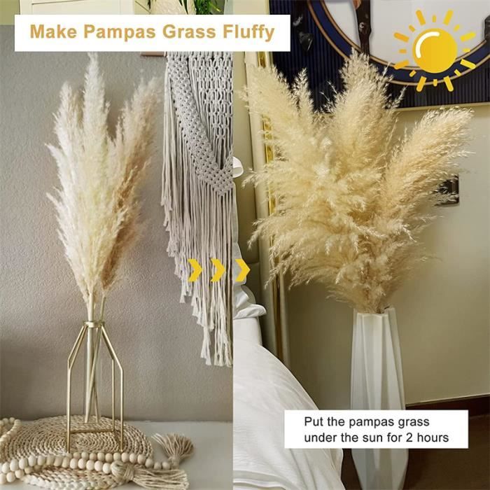 12 Grandes Herbes De Pampa Naturelles 120 Cm – Bouquet Séché Duveteux Style Boho Chic