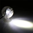 Animalerie,Lampe électronique Submersible LED pour Aquarium LED pour Aquarium, 5V, éclairage coloré, étanche, - Type WHITE-0