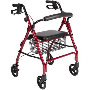 Deambulateur 2 Roues Achat Vente Accessoires Aide A La Mobilite Pas Cher Soldes Sur Cdiscount
