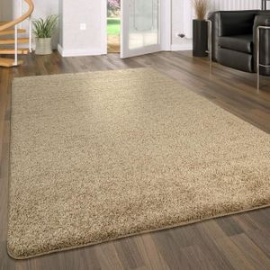 NAZAR Tapis Shaggy /à Poils Longs Beige, 120X160CM Diff/érente Tailles et Couleurs.