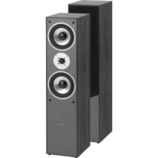 AEG LB 4711 Haut-parleur vertical Puissance 500 W Noir Import Allemagne 