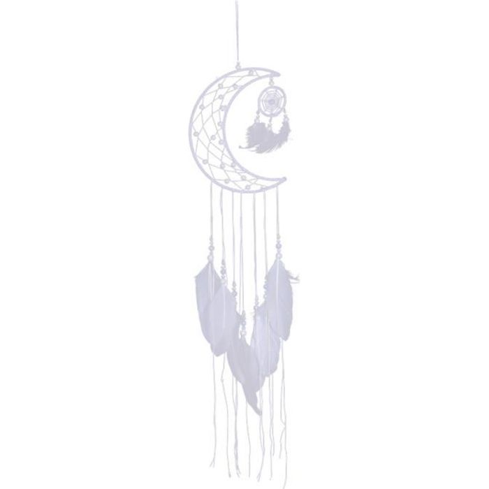 Attrape-rêves Plume Diamètre 20cm Longueur 60cm Macramé Dream Catche Tenture Murale Tissé À La Main Glands Chic Hôtel Capteur De Rêves Avec Plumes