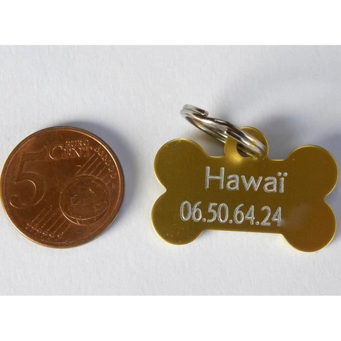 MEDAILLON GRAVEE CHIEN CHIOT CHAT DORÉ PETIT MODELE PERSONNALISATION