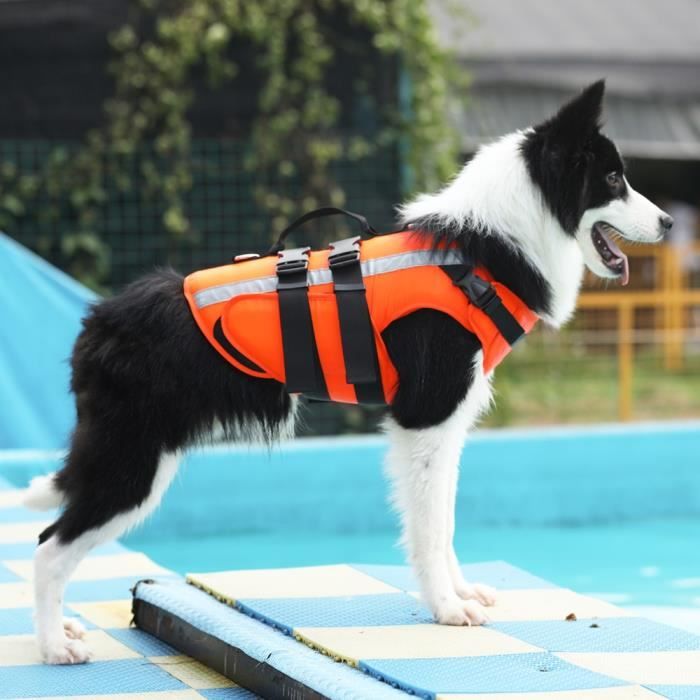 Gilet sauvetage petit chien shop
