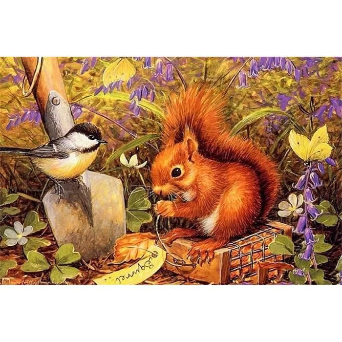 Diy 5D Diamond Painting Écureuil Kits De Broderie Diamant Peinture Art Adulte Carré Mosaïque
