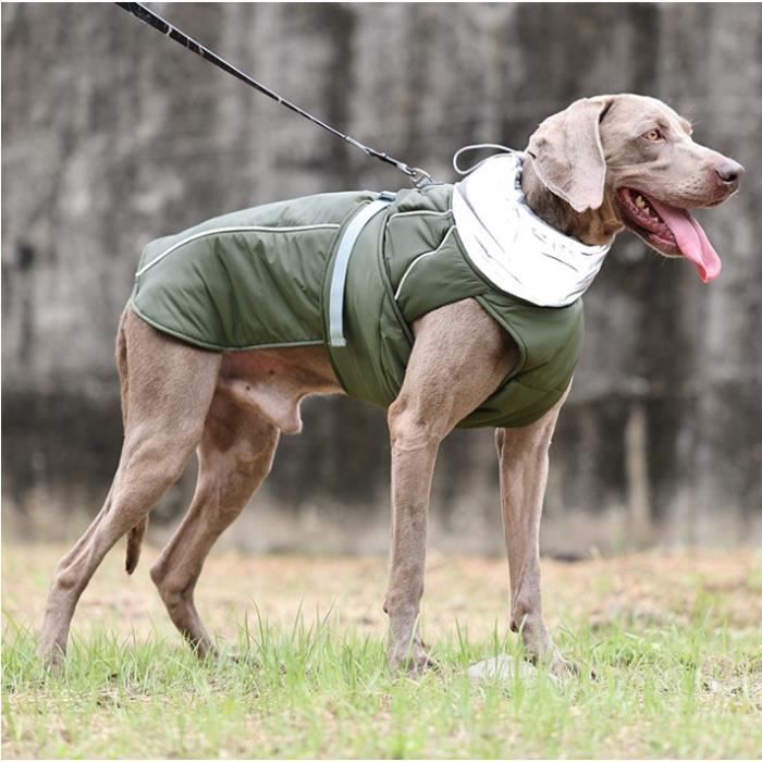 Harnais veste pour petit chien - gilet accessoire mode - Vêt'chien