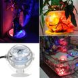 Animalerie,Lampe électronique Submersible LED pour Aquarium LED pour Aquarium, 5V, éclairage coloré, étanche, - Type WHITE-2