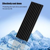 Dissipateur thermique pour SSD PCIE M.2 2280 - VVIKIZY - Noir