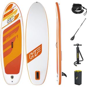 STAND UP PADDLE BESTWAY Paddle SUP gonflable Hydro-Force - Aqua Jo