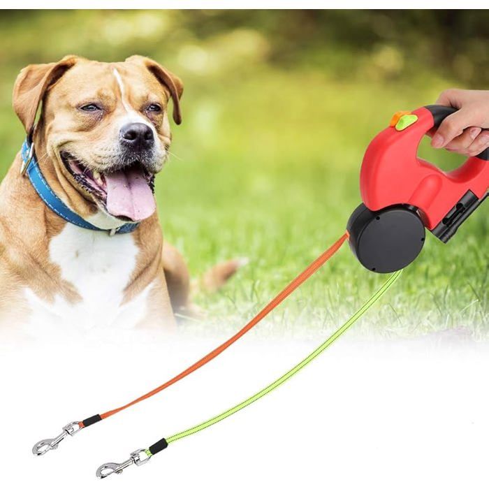 Laisse rétractable pour Chien Double extrémité Laisse Universelle Anti-enchevêtrement avec lumière LED adaptée Toutes Les LAISSE