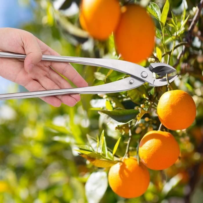 Ciseaux Bonsaï 7.9" Natudeco – Acier 55HRC Ultra Tranchant, Outil Élagage Précis Branches Feuilles, Jardin Botanique, Dureté Élevée