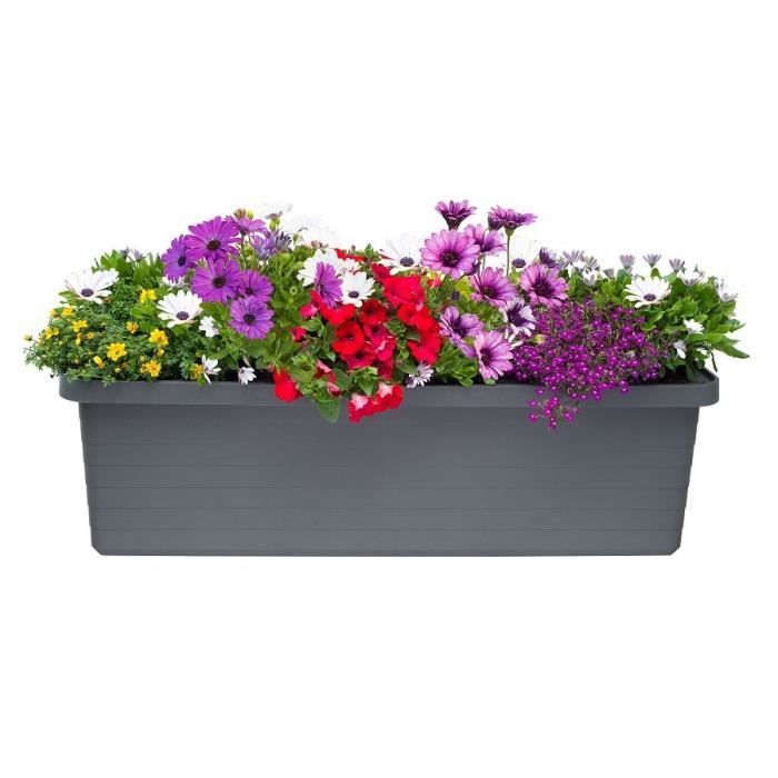 Deroma Trio De Jardinière Enjoy à Réserve D'eau - 50 X 16,1 X H 22 Cm
