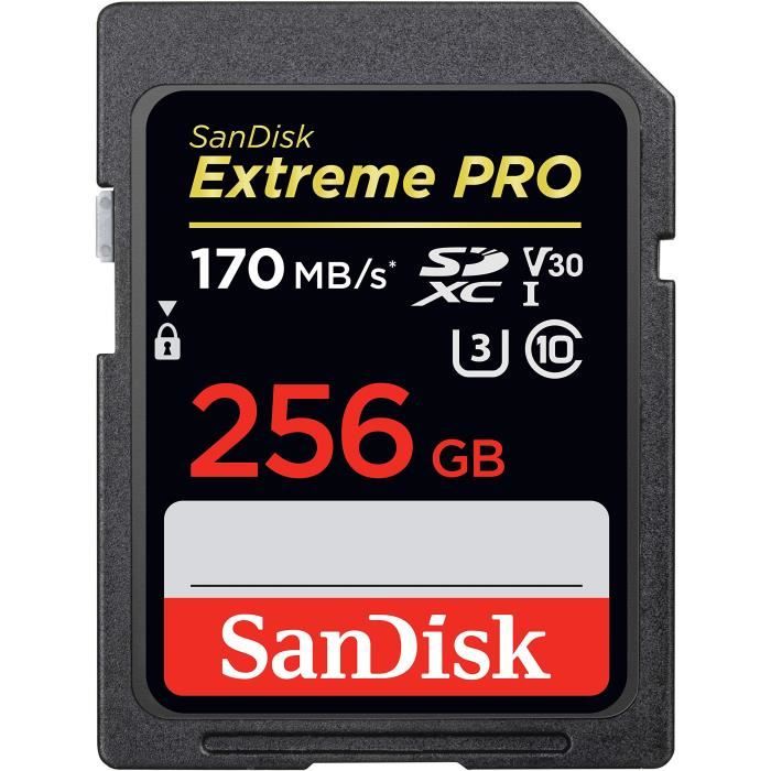 SanDisk – carte mémoire micro sd 256 go-128 go pour Nintendo Switch,  extension compatible avec le jeu sur le thème [CDE99E5] - Cdiscount  Appareil Photo