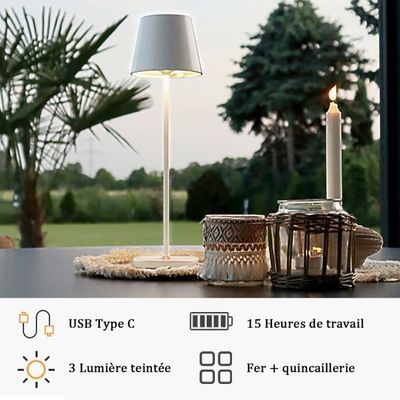 Lampe de Table sans Fil, LED métal Rechargeable Portable veilleuse Lampe de  Bureau Lampe de Lecture pour Bars Jardin Patio A427 - Cdiscount Maison