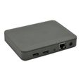Silex DS-600 - Serveur de périphérique - 2 ports - GigE, USB 2.0, USB 3.0-0
