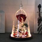 MARSEE Rose éternelle - La Belle et la Bête - Rouge - Dôme en verre borosilicate - Lumières LED - Décoratif
