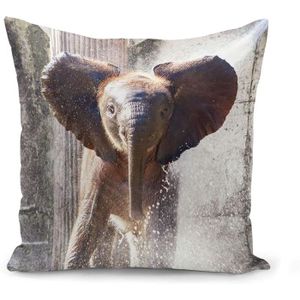 Coussin Bebe Elephant Cdiscount Coussin Bebe Elephant Cdiscount