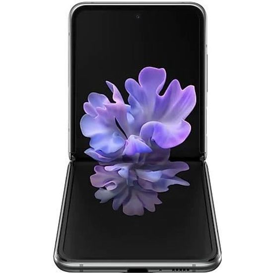 Samsung Galaxy Z Flip 5G SM-F707N 256 Go Gris