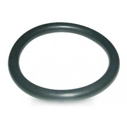 JOINT PERCOLATEUR 46X6 POUR MACHINE A CAFE RIVIERA & BAR - BVMPIECES