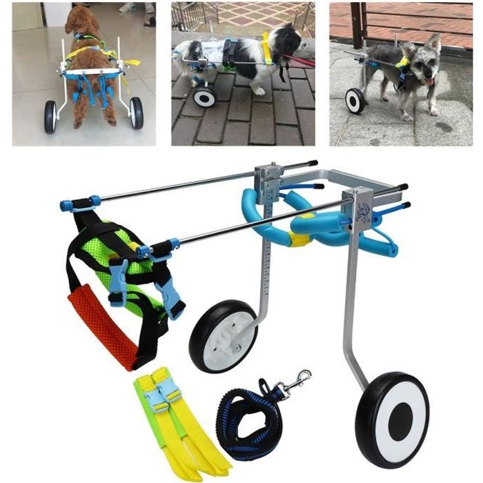 Animal Chariot Fauteuil Roulant XS à 2 Roulettes Corde de Traction Chien Chat Handicapé Postérieurs Auxiliaires Outil Marche Aide