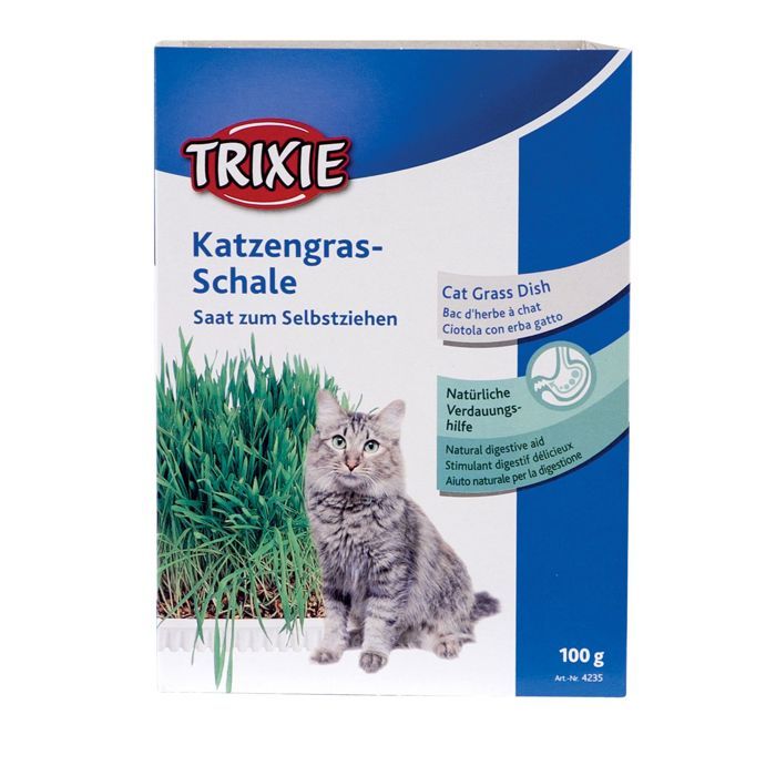 Trixie Herbe à chats