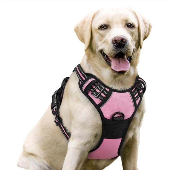 Meilleurs prix pour Harnais Chien Anti Traction Arnet pour Chien avec Poignée Contrôl Facile à Mettre Gilet Réfléchissant Réglable Rose Rouge M