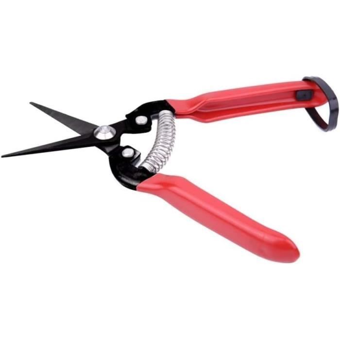 Greffer Un Arbre Fruitier : à Quelle Période, Comment Faire