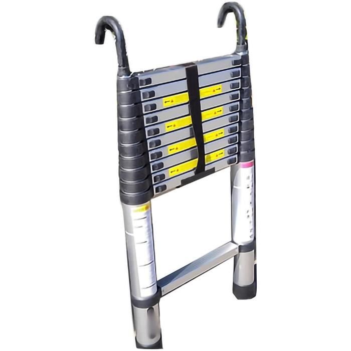 Échelle solide en 2 parties 2x10 échelons, poutre de stabilisation