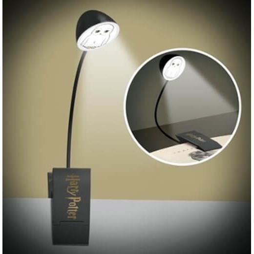 Lampe Harry Potter Kawai moulée - 5494