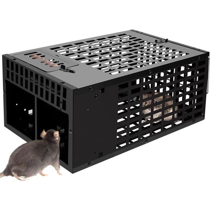 MMcRRx Piege A Souris Vivante, Cage Piège à Rat Réutilisable, Grand Piege A Rongeur 30 * 19