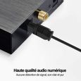 Logilink - Câbles optique - Cable Audio optique TOSLINK Mâle/Mâle Digital Audio Optical 3m HiFi Home Cinéma, Sound Bar, TV, PS4,-1