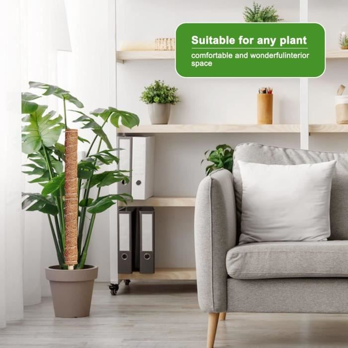 Tuteur Plante Grimpante, Tuteur Monstera, 4 Pièces 40cm Tuteur Coco — free download