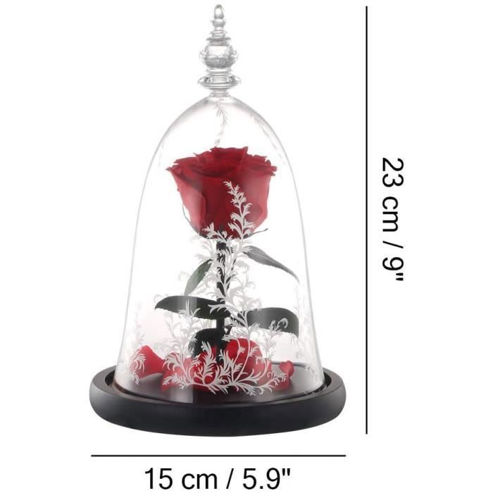 La Belle Et La Bête - Rose éternelle - Cadeau Pour Maman - Dans Un Dôme En Ve
