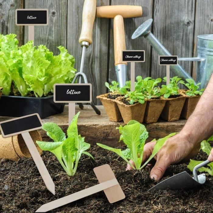 30 Étiquettes De Plantes En Bois Ovales 10x6cm Avec Marqueur - Jardin Et Potager
