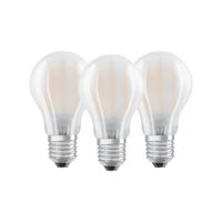 Ampoule LED Verre 7 W culot E27 Blanc chaud, mat - lot de 3