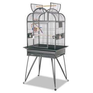 Volière Cage Pour Perroquet Perruche Montana 60x60x168cm