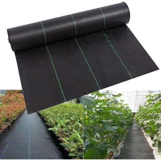 Toile De Paillage 80g/m² - 50m X 1m - Anti-mauvaises Herbes - Perméable - Pour Potager