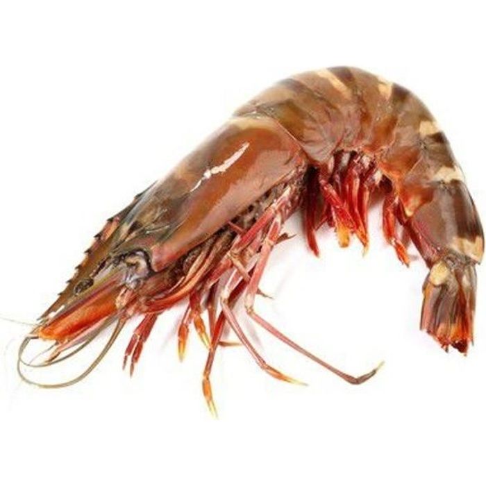 Gambas Crevettes entières Crues Congelés 16-20 colis de 2 , 4 kg