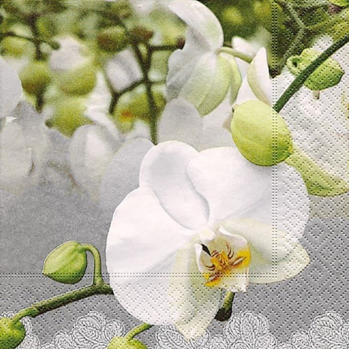 PAPER DESIGN - 20 Serviettes 33x33 cm - Orchid festival