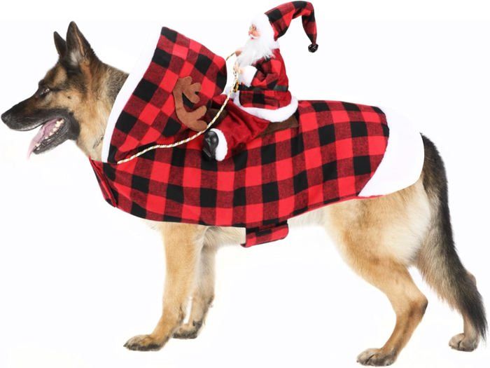 Comparer les prix de Costume de Noël pour chien - Costume de Père Noël - Vêtement déquitation - Pull pour chien - Manteau de Noël，PROTECTION