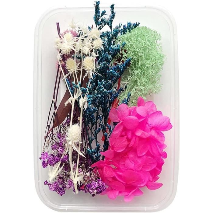Fleurs Séchées Naturelles Rose - DIY Déco - Bouquet Séché Pour Cadres, Résine, Cadeaux