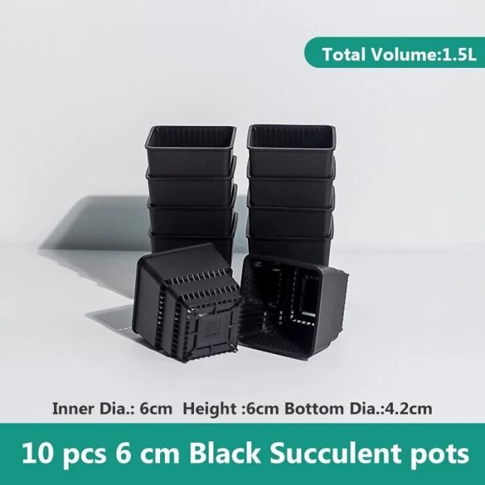 Lot De 18 Succulentes En Pot - Plantes Grasses Variées 5,5 Cm, Hauteur 5-10 Cm, Plantes D'intérieur Faciles