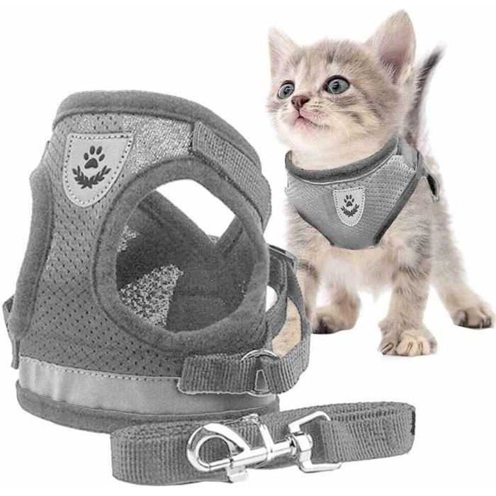 Harnais Pour Chat Petit Chien Avec Laisse Pour Promenade Bandes Reflechissantes Reglables Gilet Pour Chats Taille S Gris Cdiscount Harnais Pour Chat Petit Chien Avec Laisse Pour Promenade Bandes Reflechissantes Reglables Gilet Pour Chats Taille S Gris Cdiscount