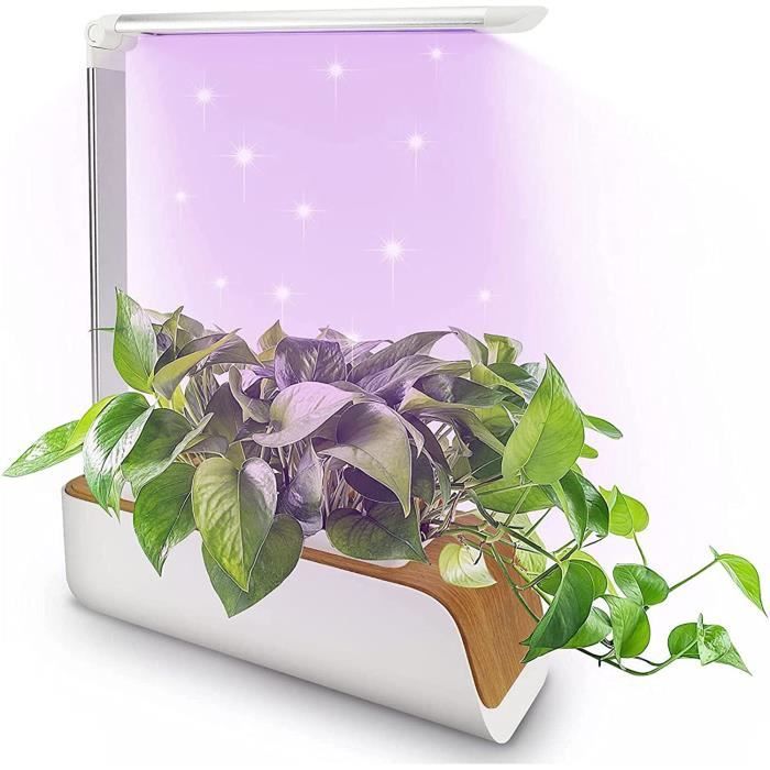 Jardin Hydroponique D'intérieur Smart Garden - 12 Pods, Lampe LED, Réservoir 4L - Pour Herbes Et Légumes Frais
