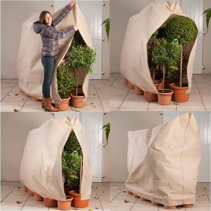 – Sac en non tissé pour plante en pot protection des plantes du gel 240 x 200 cm XL Amazy Housse de protection pour plantes du vent et des précipitations