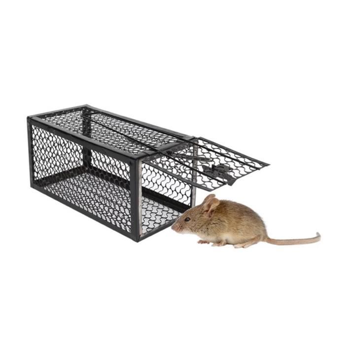 Piège nuisible,Piège à souris réutilisable en fer, piège à rongeurs, pour Rat, appât pour