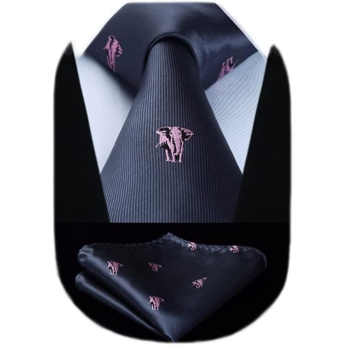 Cravate Et Pochette à Pois - Ensemble Mariage/Homme Élégant - Cravate 150cm & Mouchoir 31x31cm