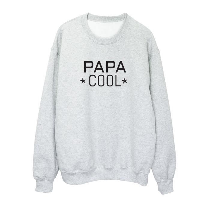 Sweat Shirt Imprime Citation Humour Fete Des Peres Papa Cool Ref 2565 Gris Cdiscount Pret A Porter