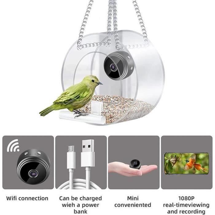 Mangeoire à oiseaux intelligente avec caméra plateau à chaîne ferme Forte  capacité de charge pour les oiseaux amoureux
